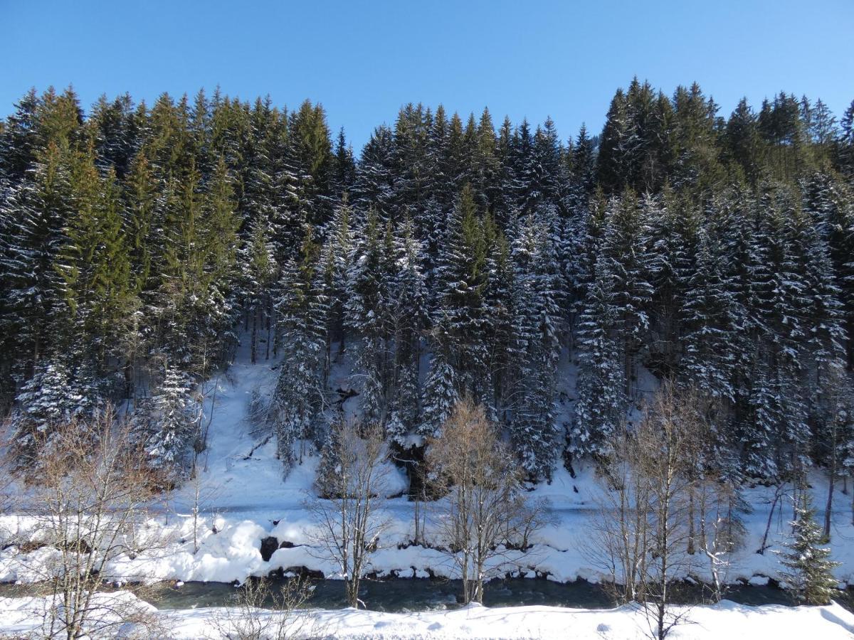 Apartment Alpenappartements Domicil By Hermann Weiss Saalbach-Hinterglemm