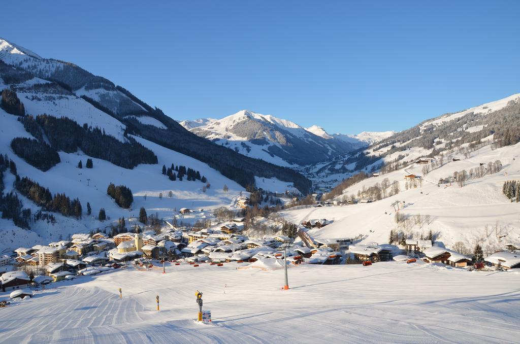 Alpenappartement Bartl Apartment Saalbach